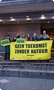 Greenpeace Netherlands 3